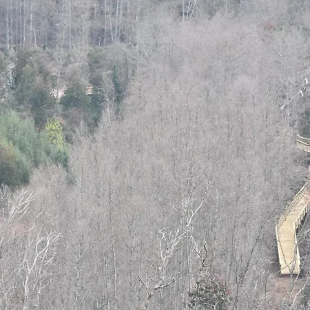 Дом отдыха Casa Andorinhas Сейя