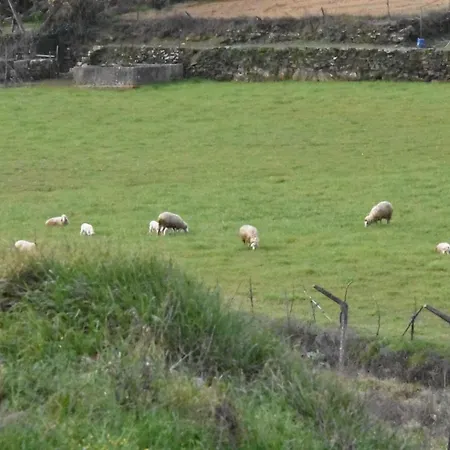 Casa Andorinhas Dom wakacyjny *