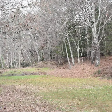 Casa Andorinhas Prázdninový dům Seia