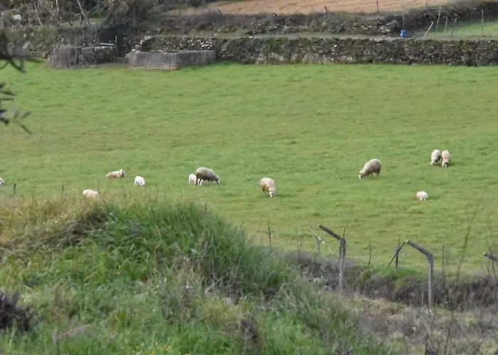 Casa Andorinhas Дом отдыха *