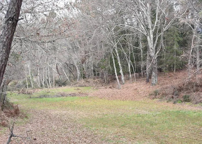 Casa Andorinhas Дом отдыха Сейя